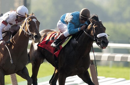 BIrd Town wins the 2003 Acorn Stakes (G1).