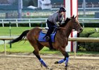 Abel Tasman gallops under Dana Barnes May 1 at Churchill Downs