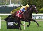 In his first start in North America, group 1 winner Robert Bruce takes the Fort Marcy at Belmont