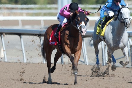 Toronto Ontario,May 12, 2018.Woodbine Racetrack.Star Shoot Stakes Sly Beauty under Jockey Eurico Da Silva, capture the $100,000 dollar Star Shoot Stakes at Woodbine Racetrack for owner Debby Oxley and trainer Mark Casse. michael burns photo