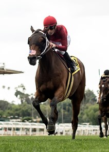 Itsinthepost and jockey Julien Leparoux win the G2, $200,000 Charles Whittingham Stakes, Saturday, May 26, 2018 at Santa Anita Park, Arcadia CA.