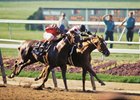 Affirmed edges Alydar in 1978 Belmont Stakes