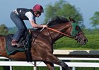 Bolt d'Oro works May 28 with Declan Cannon in the irons at Keeneland
