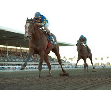 Harlan's Holiday #3 with Edgar Prado riding won the $1,000,000 Florida Derby at Gulfstream Park. 2nd was Blue Burner with Jerry Bailey.