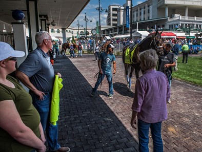 All of trainer Todd Pletcher's Derby entrants school in the paddock at Churchill Downs Wednesday May 2, 2018