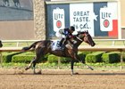 Shotgun Kowboy wins the Lone Star Park Handicap by 1 1/2 lengths at Lone Star Park
