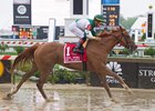 Happy Like a Fool wins the Miss Preakness Stakes at Pimlico Race Course