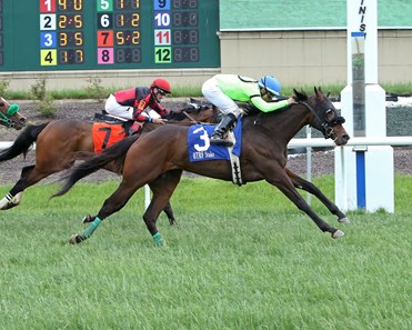 Spinning Top wins the 2018 Tomboy Stakes