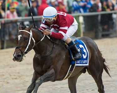Tap Daddy, with Ricardo Santana Jr. up, wins the James W Murphy at Pimlico on Preakness day