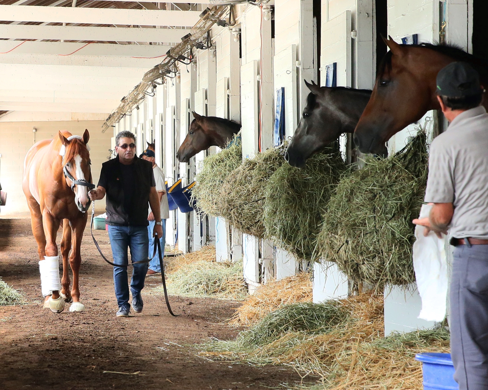 Jimmy Barnes assistant trainer to Bob Baffert with Justify on the Churchill Downs backstretch June 11