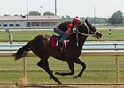 An American Lion colt named Explosive Storm brought the co-highest price of the sale at $12,000