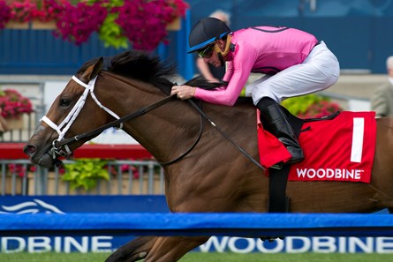 Alywow Stakes.Road to Victory under jockey Gary Boulanger captures the Alywow Stakes for owner Gary Barber and John C. Oxley and trainer Mark Casse at Woodbine Racetrack SAturday, June 9, 2018 in Toronto, Ontario.