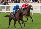 Blue Point wins King's Stand Stakes at Royal Ascot