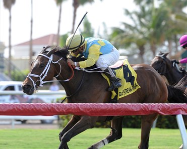 Lipstick City wins the 2018 Christmas Past Stakes