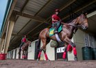 Ocala Breeders' Sales will conduct its June 2-year-olds in training sale.