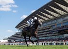 Alpha Centauri, with Colm O'Donoghue up, wins the Coronation Stakes at Royal Ascot