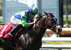 Take the One O One wins the Snow Chief Stakes at Santa Anita Park