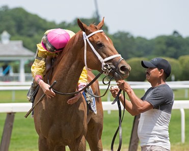 Monomoy Girl with Florent Geroux wins the Acorn (G1)
Morning scenes on June 9, 2018 at Belmont Park in Elmont, New York.