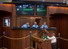 A Beau Choix filly consigned as Hip 605 sells for $155,000 at the OBS June 2-year-olds in training sale