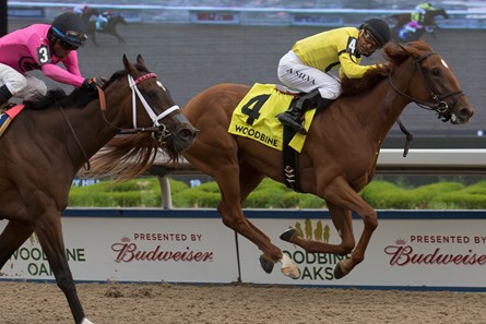 Dixie Moon under Jockey Eurico Da Silva (yellow black cap) capture the Woodine Oaks for owner Sean and Dorothy Fitzhenry and trainer Catherine Day Phillips