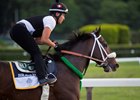 Bravazo trains at Belmont Park