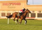 Hawkish is all alone at the wire in the Penn Mile at Penn National Race Course