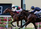 Without Parole wins the St James's Palace Stakes at Royal Ascot