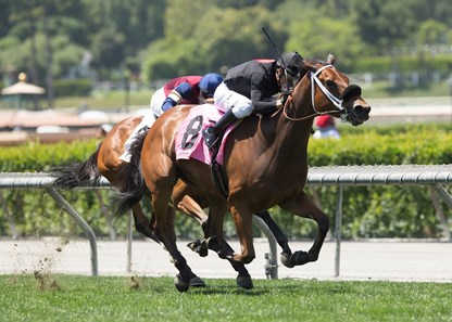 Causeforcommotion and jockey Geovanni Franco win the $80,000 Possibly Perfect Stakes Sunday, June 3, 2018 at Santa Anita Park, Arcadia, CA.