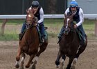 Hofburg (outside) works with Good Samaritan on the Oklahoma training track at Saratoga Race Course