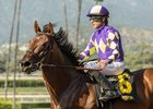 Draft Pick after winning the Affirmed Stakes at Santa Anita Park