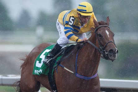 Pink Lloyd wins the 2018 Achievement Stakes
