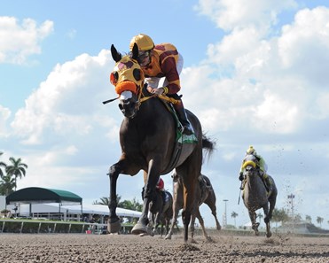 Curlin's Approval wins 2018 Ana T. Stakes at Gulfstream Park.
