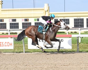 Smooth B wins 2018 Danzig Stakes at Penn National Saturday, June 2, 2018.
