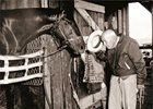 Trainer J.E. "Sunny Jim" Fitzsimmons tips his hat to Bold Ruler. 1958