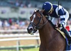 Oscar Performance wins the Poker Stakes at Belmont Park