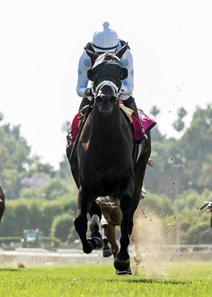 Paved and jockey Gary Stevens win the G2 $200,000 Honeymoon Stakes Saturday, June 9, 2018 at Santa Anita Park, Arcadia, CA.