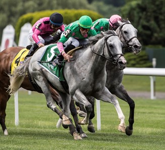 Disco Partner rolls up the outside to win the 35th running of the Jaipur Invitational S. (GII) at Belmont Park Saturday, June 9, 2018 in Elmont, N.Y.