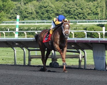 Dreamofjean E. wins the 2018 Mike Spellman Memorial