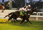 Quarteto De Cordas wore down Arrocha to win the Grande Premio Brasil at Gavea