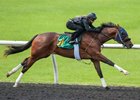 A Cairo Prince filly consigned as Hip 61 works a quarter-mile in :20 2/5