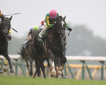 Satono Arthur (JPN) with Keita Tosaki wins the Epsom Cup (G3) at Tokyo Racecourse.