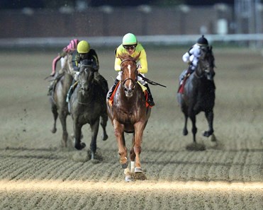 Chief Cicatriz wins the 2018 Aristides Stakes