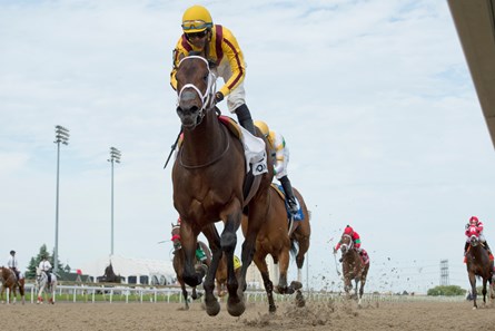 Telekinesis under Jockey Patrick Husbands captures the Plate Trial stakes for owner Stonestreet Stables LLC and trainer Mark Casse