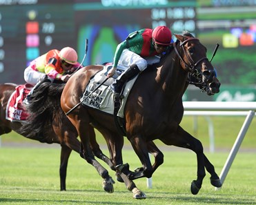 La Sardane wins the 2018 Intercontinental Stakes