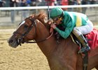 Timeline wins an optional-claiming allowance race at Belmont Park