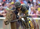 Still Having Fun captures the Woody Stephens at Belmont Park
