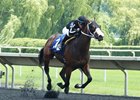 Strong Will wins his maiden on debut at Arlington