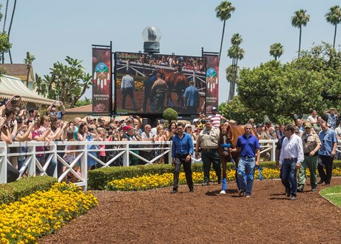 Justify in the Santa Anita walking ring June 23