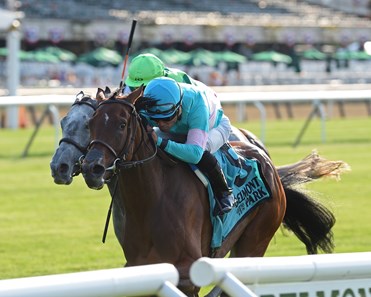 La Signare wins the 2018 Wonder Again Stakes
