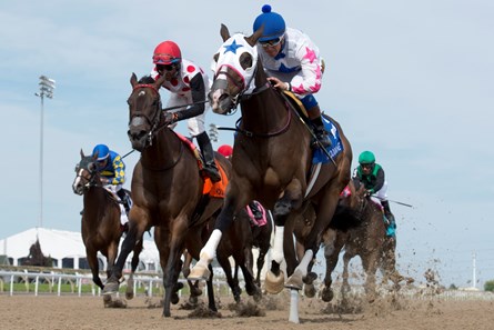 Code Warrior under Jockey Luis Contreras, capture the Hendrie Stakes at Woodbine for owner Zilli Racing Stables and trainer Michael De Paulo in Toronto, Ontario.
